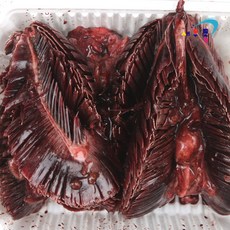 -60도 국내산 동해 젓갈용 참다랑어 참치 창란 아가미, 1개, 참다랑어 아가미 1kg