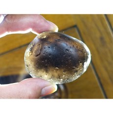 §能量礦石§ 印尼隕石河川滾石拋光 Agni Manitite 火山玻璃 120克 俗稱印尼天狼星 烈火石 黑隕石 黑曜, 1個