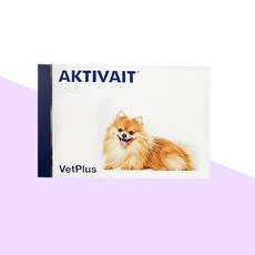 [벳플러스] 액티베이트 엑스스몰 초소형견 60캡슐 (5Kg 이하), 1개, 뇌/인지, 60회분