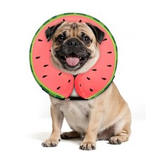 MIDOG 대형견을 위한 도그 콘 칼라 수술 후 부드러운 공기 주입식 도그 콘 대체품 조절 가능한 보호 회복 콘 - 대체 E 칼라는 시야를 차단하지 않습니다(라이온 XS), 수박