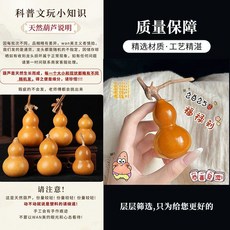 天然文玩葫蘆掛件, 福祿r6雙全【精品紫皮龍頭】,葫蘆喚起好運【願你總被幸運眷顧】, 1個