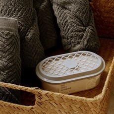 온다숲 반영구 천연제습제 습기제거제 정화석 탈취까지, 300g, 21개