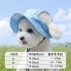 강아지 여름 통기성 귀노출 썬캡 소형견 모자, 패드 염색 라이트 블루