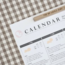 육오빠 육아캘린더+성장그래프+이유식 놀이 건강 팁, 전체 4종 세트(육아캘린더-A4)