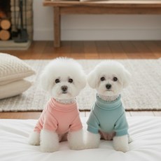 강아지 겨울옷 곰털올인원 반려동물 보들보들 극세사 강아지옷 애견옷 올인원 (공장판매최저가), 1개, 핑크+블루