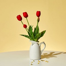 모던하우스 튤립부쉬 x5 41cm 레드, 레드계열
