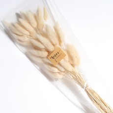 화연양화 라그라스 40개입 드라이플라워 시들지않는생화, 01 아이보리