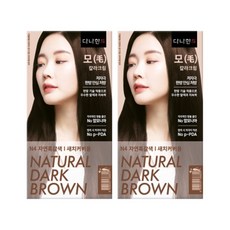 다나한 모 칼라크림 한방 새치염색약, N4 자연흑갈색, 2개