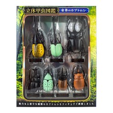 玩具先生 日版立體昆蟲甲蟲模型標本組(合格玩具) - 多款精緻甲蟲模型，收藏送禮皆宜