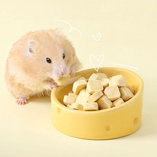 타핏 햄스터밥그릇 햄스터급식기 치즈 그릇 10cm, 1개