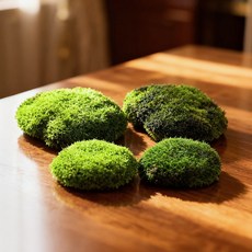 청년토이 테라리움 진짜같은 이끼 모형 4종세트, 1세트