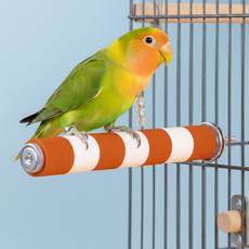 레브홈 앵무새 발톱갈이 막대 횟대, 2개, 오렌지