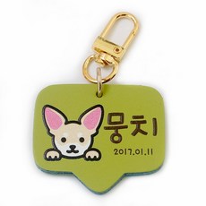 반려동물 고리형 인식표 강아지 외출용 이름표, 손글씨체, 연두, 1개