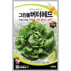 세계종묘 그린볼버터헤드 1000립, 1개