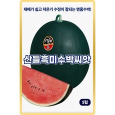 산들 흑미 수박씨앗 5립 재배 쉽고 저온기 수정 잘되는 소량 흑수박씨 종자, 1개