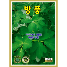 KS종묘 방풍 씨앗 300립 재래종 약용채소 봄가을 파종 종자 ks, 1개 1개