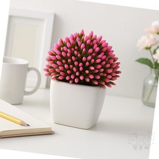 행운몰 다육이 조화 화분