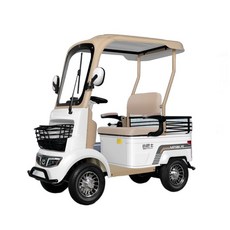 골프카 전동차 소형 사륜 캐디카 유원지 관광 리조트, 60V, 650W 모터 + 60V 20A 배터리, 1개