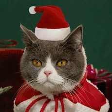 크리스마스소품 크리스마스용품 반려동물 크리스마스 산타모자, 트리모자