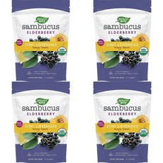 네이처스웨이 삼부커스 아연 로젠지스 허니레몬맛, 4개, 24정, 24정