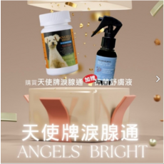 天使牌 PLUS 錠 90錠裝, 1入