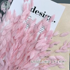 大好屋 花束裝飾 DIY批發 手作花材, 小盼草【粉色】大束