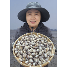 [상위1%] 산지직송 국내산 벌교 새꼬막 여자만, 1개, 1kg(특대70미내외)새꼬막