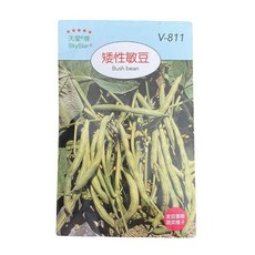 SkyStar®矮性敏豆種子 V-811 家庭園藝蔬菜種子, 1個