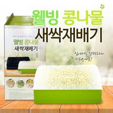 투명돔 콩나물 새싹 재배기 국산 웰빙 애완식물 키우기