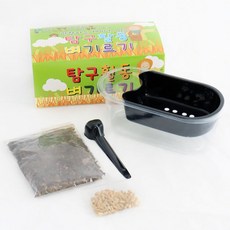 키득키득 벼기르기 식물관찰 과학 텃밭가꾸기, 9개, 단일