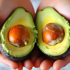 [백화점납품] 프리미엄 아보카도 생과 버터과일 슈퍼푸드 avocado (220g내외), 1개, 대과 10과 (220g 내외)