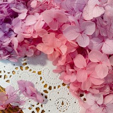 VITO zakka 木繡球永生花DIY乾燥花植物浮游花材花藝材料包拍攝道具DIY創作花材20g, 夢幻(粉紫漸變)(現貨)