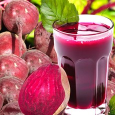 제주 고당도 레드비트 원료 100% 비트즙 간편 주스 햇 알비트 원액 빨간무 농축액 엑기스, 50개, 100ml