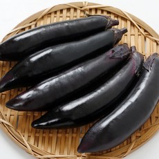 국내산 가지 특품 당일경매, 1개, 500g