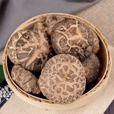 말린 통표고 버섯 건버섯 250g 500g 중국산 JIKTEM WW5120405