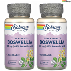 [60캡슐] 솔라레이 보스웰리아 추출물 450mg 베지 캡슐 60정, 2개