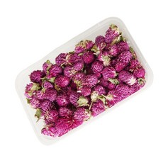 壹樓花藝雜貨 千日紅乾燥花材, 紫色千日紅盒裝