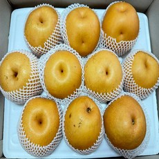 농부곳간 나주 햇배 나주배 신고배 과일 배 선물세트, 1박스, 나주배 5kg 가정용 6-15과