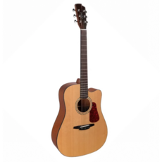 Nightwish拉維斯 N5DC 面單板民謠吉他 木吉他, 詳見包裝