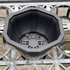 沅鈺農場 資材 黑色12角盆 - 耐用種植盆栽 排水透氣 園藝造景適用, 1個