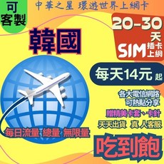 上網卡 韓國 首爾 釜山 濟州島 高速, 1個, 實體卡20天,A【白鑽】韓國每天1GB降速吃到飽