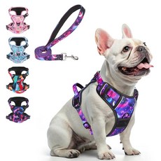 BEAUTYZOO 소형견을 위한 당김 없는 강아지 하네스 및 목줄 세트 조절 가능한 강아지 조끼 하네스 금속 목줄 클립 2개 반사 옥스포드 질식 방지 탈출 방지 손잡이, Starry Sky