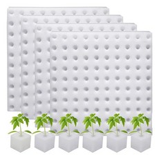 씨앗 발아 수경재배 스폰지 100pcs 세트 원형 타공 H371, 없음