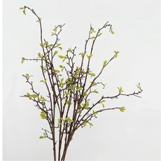 마오리 코로키아 새순 나무 가지 장식 그린 식물 조화, 1개