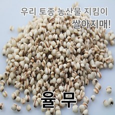 2025년 국산 율무 의이인 율무쌀, 1개, 1kg