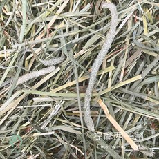 愛兔草 NEW! 優質提摩西一割(T1) 梗多葉少 牧草 提摩西 兔子牧草 天竺鼠 龍貓 過篩 寵物牧草, 1個, 有過篩【梗葉各半】提摩西一割500g