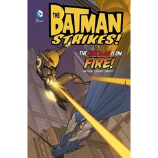 The Batman Is on Fire! Hardcover, Stone Arch Books