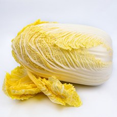 국산 알배추 속이 노랗고 달큰한 쌈배추 [BZN], 1박스, 2kg