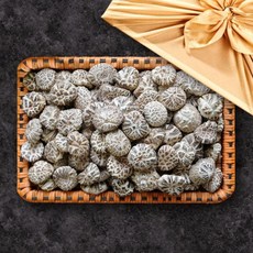 버섯명가 표고버섯 선물세트 백화고 500g(채반)