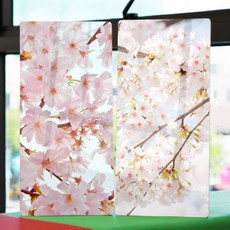 bf236-폼아크릴액자18CmX38Cm_봄의꽃벚꽃